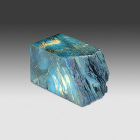 2291 Yellow Cedar Burl