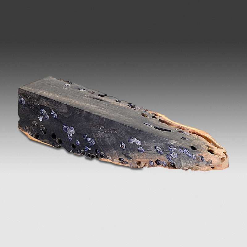 886 Stabilized Buck-Eye Burl